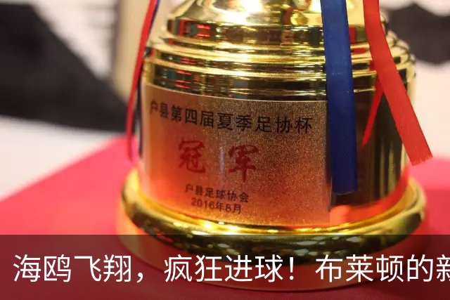 海鸥飞翔，疯狂进球！布莱顿的新赛季简直如同开挂